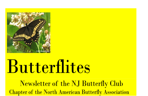 NJ Butterfly Club Newsletter